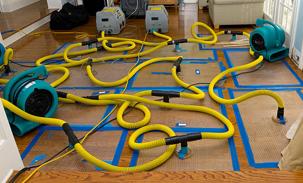 Professional Basement Flood Cleanup technician working in Cudahy, CA